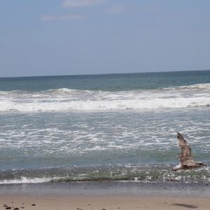 Meet your Posher, Ariana